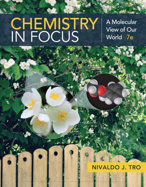 Chemistry in Focus A Molecular View of Our World 7th Edition
