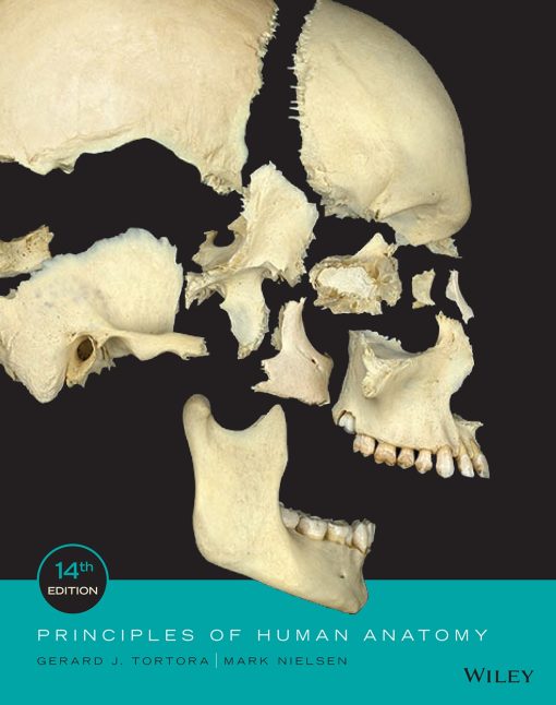 Principles of HUMAN ANATOMY 14th Edition